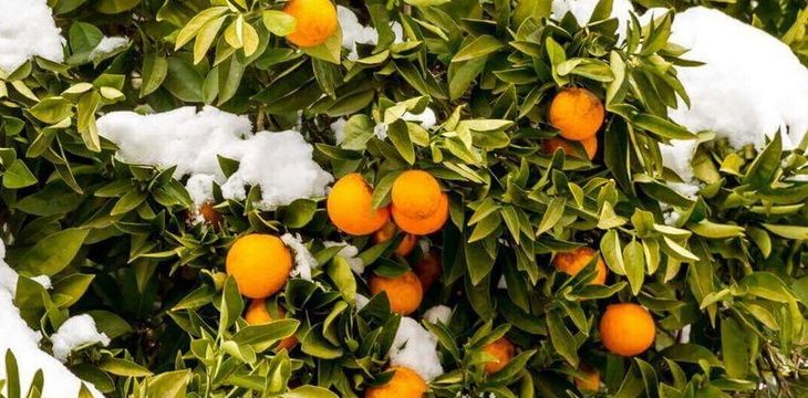 Семейный отдых в раю под названием Абхазия